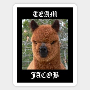 Team Jacob Magnet